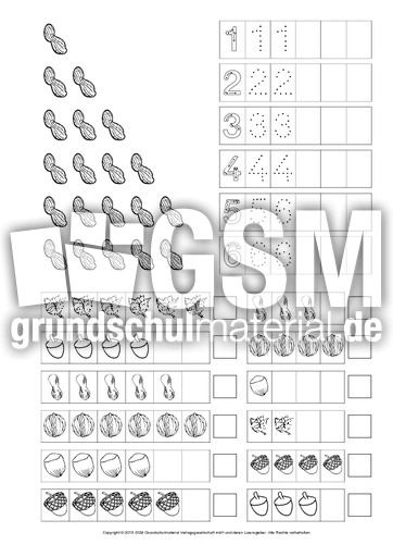 Mengen-und-Zahlen-Eichhörnchen 4.pdf